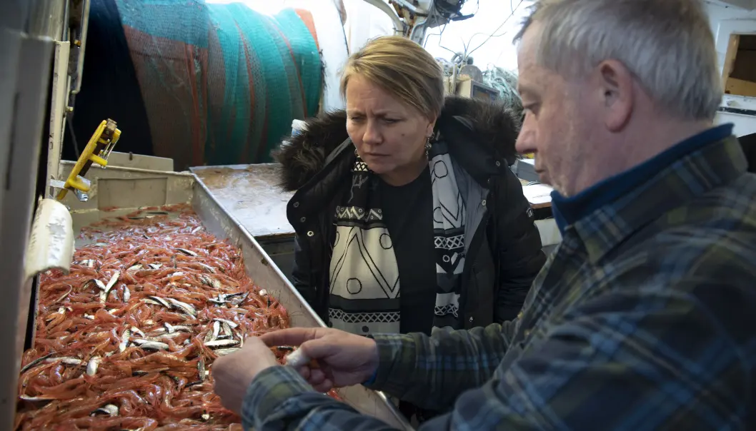 Porsanger-ordfører Aina Borch følger interessert med mens havforsker Kjell Nedreaas forklarer. (Foto: Gunnar Sætra / Havforskningsinstituttet) Porsanger-ordfører Aina Borch følger interessert med mens havforsker Kjell Nedreaas forklarer. (Foto: Gunnar Sætra / Havforskningsinstituttet)