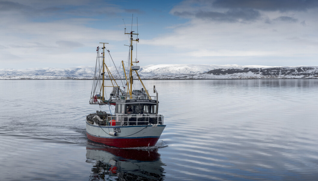 «Henriette» har drevet prøvefiske med teiner for rekeprosjektet på Porsangen, Tanafjorden og Kvænangen. (Foto: Gunnar Sætra / Havforskningsinstituttet) «Henriette» har drevet prøvefiske med teiner for rekeprosjektet på Porsangen, Tanafjorden og Kvænangen. (Foto: Gunnar Sætra / Havforskningsinstituttet)