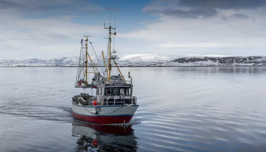 «Henriette» har drevet prøvefiske med teiner for rekeprosjektet på Porsangen, Tanafjorden og Kvænangen. (Foto: Gunnar Sætra / Havforskningsinstituttet) «Henriette» har drevet prøvefiske med teiner for rekeprosjektet på Porsangen, Tanafjorden og Kvænangen. (Foto: Gunnar Sætra / Havforskningsinstituttet)