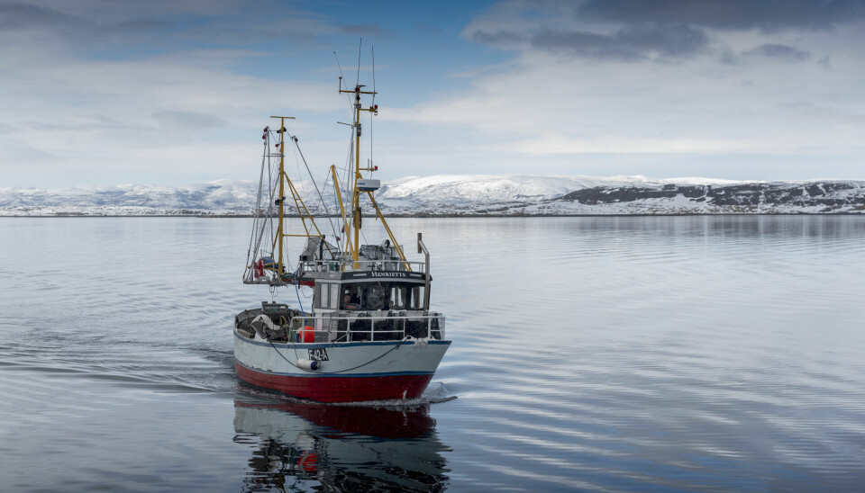 «Henriette» har drevet prøvefiske med teiner for rekeprosjektet på Porsangen, Tanafjorden og Kvænangen. (Foto: Gunnar Sætra / Havforskningsinstituttet)