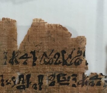 Et lite utsnitt av papyrusen. Hieroglyfene leses fra høyre mot venstre. (Foto: Mikkel Andreas Beck) Et lite utsnitt av papyrusen. Hieroglyfene leses fra høyre mot venstre. (Foto: Mikkel Andreas Beck)
