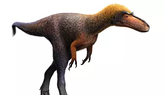 Her er mini-stamfaren til Tyrannosaurus Rex