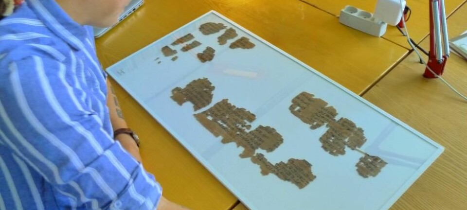 Sofie Schiødt har brukt et halvt år på å studere papyrusen, som anslås å være vel 3500 år gammel. (Foto: Mikkel Andreas Beck)