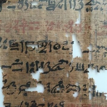 Et lite utsnitt av papyrusen. Hieroglyfene leses fra høyre mot venstre. (Foto: Mikkel Andreas Beck) Et lite utsnitt av papyrusen. Hieroglyfene leses fra høyre mot venstre. (Foto: Mikkel Andreas Beck)