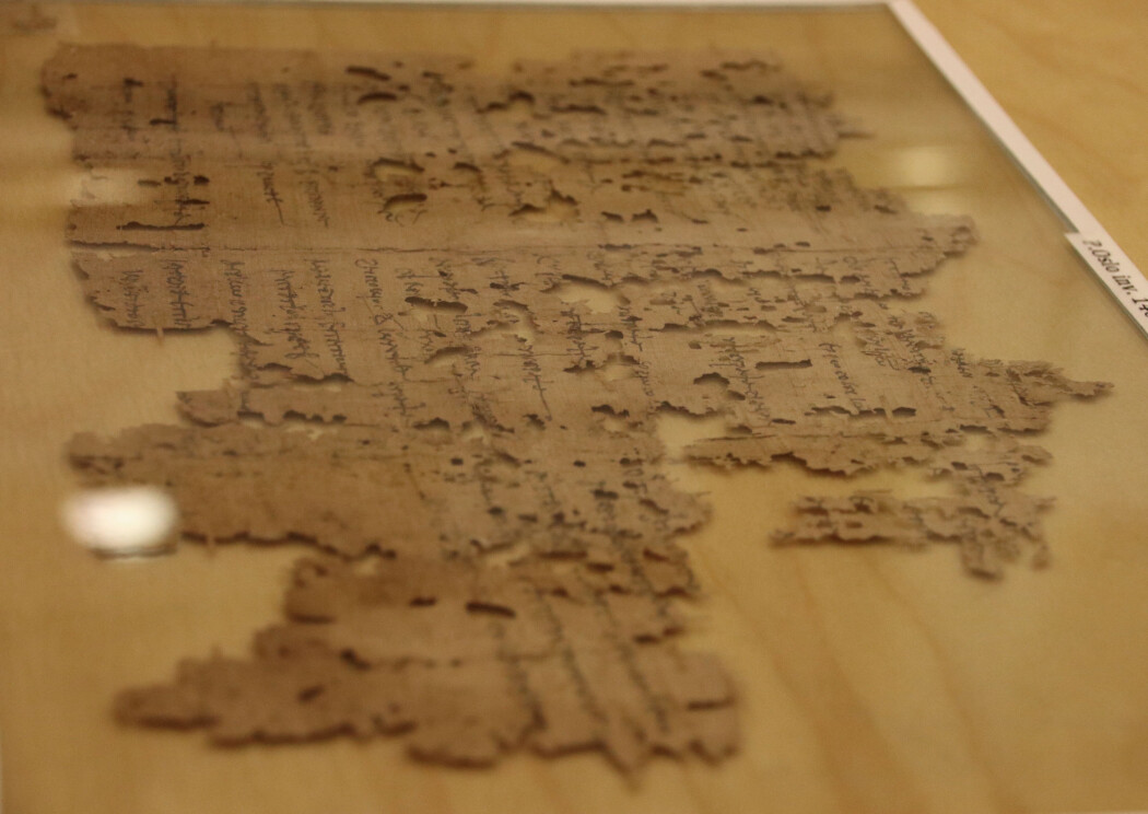 Hele papyrusfragmentet som har overlevd. Visse deler er vanskelige å tyde, forteller Maravela. (foto: Lasse Biørnstad/forskning.no) Hele papyrusfragmentet som har overlevd. Visse deler er vanskelige å tyde, forteller Maravela. (foto: Lasse Biørnstad/forskning.no)