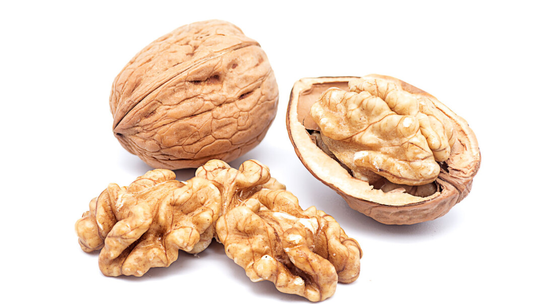 Er valnøtter frukt? (Foto: Luiscar74 / Shutterstock / NTB scanpix) Er valnøtter frukt? (Foto: Luiscar74 / Shutterstock / NTB scanpix)