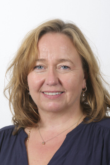 – Årsakene til lystproblemer kan være både medisinske, psykologiske, sosiale og relasjonelle, sier Sidsel Schaller. (Foto: Universitetet i Oslo) – Årsakene til lystproblemer kan være både medisinske, psykologiske, sosiale og relasjonelle, sier Sidsel Schaller. (Foto: Universitetet i Oslo)