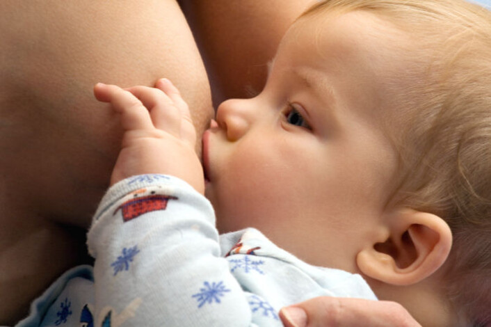 En ny studie tyder på at amming reduserer kreftrisikoen for kvinner med brystkreft i nær familie. (Foto: iStockphoto) (Foto: iStockphoto/Scanpix/NTB) En ny studie tyder på at amming reduserer kreftrisikoen for kvinner med brystkreft i nær familie. (Foto: iStockphoto) (Foto: iStockphoto/Scanpix/NTB)