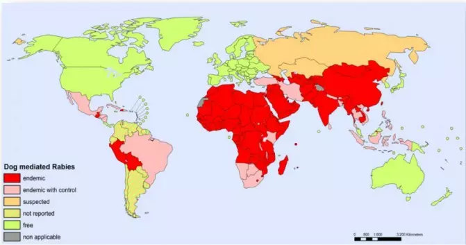 På kartet kan du se hvilke områder hvor hunder er hovedreservoaret og kilde til rabiessmitte (røde). Kilde: Rabies Bulletin Europe/WHO)