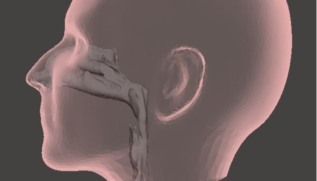 Den øvre luftveien, som strekker seg fra nesetippen og ned til øverst i brystet, har en komplisert geometrisk utforming. Foreløpig vet vi lite om hvordan de myke delene av luftveien påvirkes når vi puster. (Illustrasjon: Sintef) Den øvre luftveien, som strekker seg fra nesetippen og ned til øverst i brystet, har en komplisert geometrisk utforming. Foreløpig vet vi lite om hvordan de myke delene av luftveien påvirkes når vi puster. (Illustrasjon: Sintef)