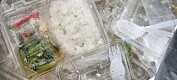 Vil redusere bruken av plast i matemballasje