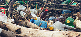 Foreslår flere tiltak for mindre plastforsøpling fra sjømat-næringen