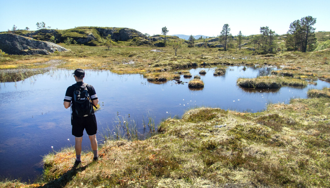 (Illustrasjonsfoto: Gorm Kallestad / NTB scanpix) (Illustrasjonsfoto: Gorm Kallestad / NTB scanpix)