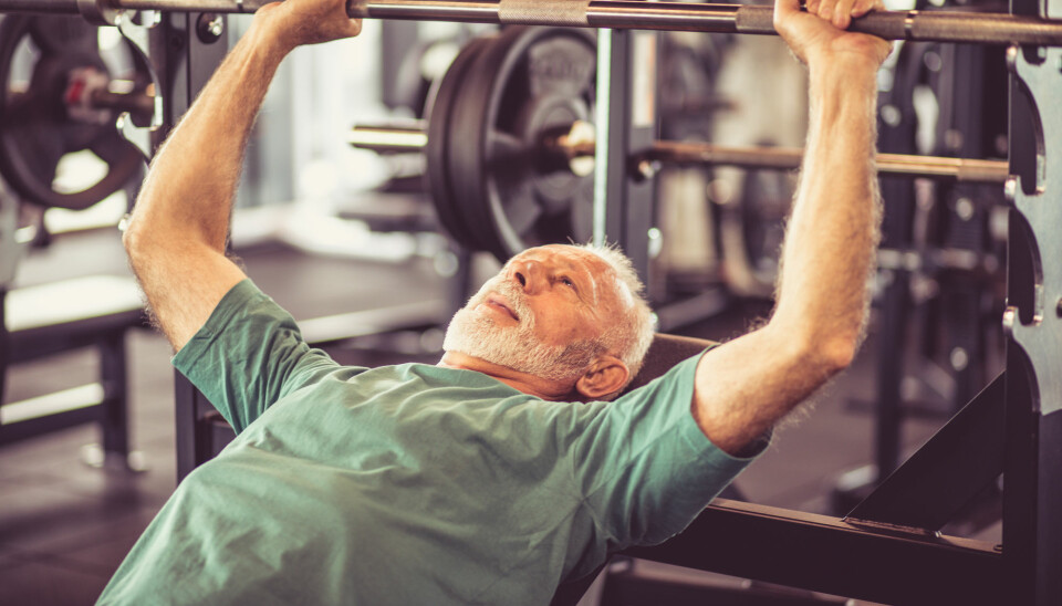 Styrketrening vil gi større treningsgevinst for mange eldre enn både kondisjonstrening, bevegelighetstrening og balansetrening, mener forsker. (Illutrasjonsfoto: Mladen Zivkovic / Shutterstock / NTB scanpix)