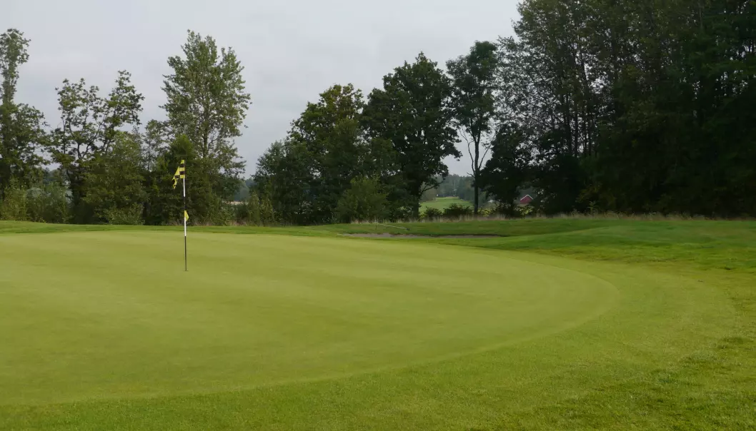 Det er mye som skal til for å holde gresset grønt og sterkt på golfbanen.  (Foto: Siri Elise Dybdal)