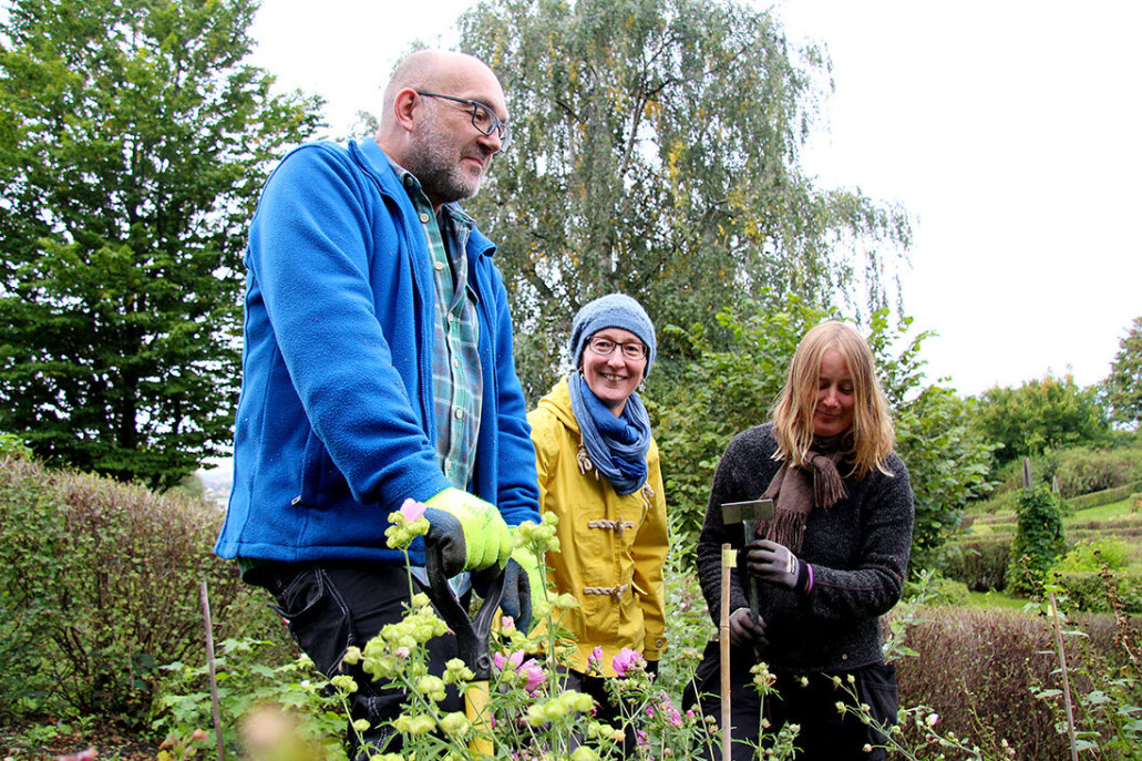 I løpet av de neste tre årene skal store deler av det plantesystematiske anlegget i Ringve botaniske hage ved NTNU Vitenskapsmuseet legges om. Gartner Steinar Gagnås (fra venstre), daglig leder Vibekke Vange og gartner Reidun Mork har allerede tatt fatt på arbeidet. (Foto: Grete Wolden / NTNU) I løpet av de neste tre årene skal store deler av det plantesystematiske anlegget i Ringve botaniske hage ved NTNU Vitenskapsmuseet legges om. Gartner Steinar Gagnås (fra venstre), daglig leder Vibekke Vange og gartner Reidun Mork har allerede tatt fatt på arbeidet. (Foto: Grete Wolden / NTNU)