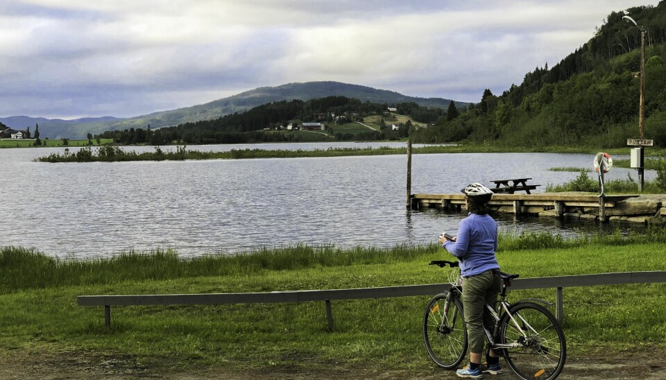 Selv om elver er regulert så har folk et forhold til disse. De sykler, fisker og bader – eller bare kikker på elva, som her på dette bildet av den regulerte elva Nea i Trøndelag. (Foto: Berit Köhler)