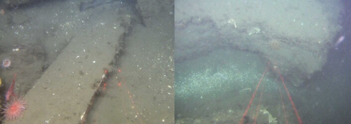 Figur 4. Lagdelte sedimentære bergarter fra trias i den nordligste pockmarkforhøyningen vist i Figur 2. Det er 10 cm mellom de røde laserlysprikkene. Foto: MAREANO/Havforskningsinstituttet Figur 4. Lagdelte sedimentære bergarter fra trias i den nordligste pockmarkforhøyningen vist i Figur 2. Det er 10 cm mellom de røde laserlysprikkene. Foto: MAREANO/Havforskningsinstituttet