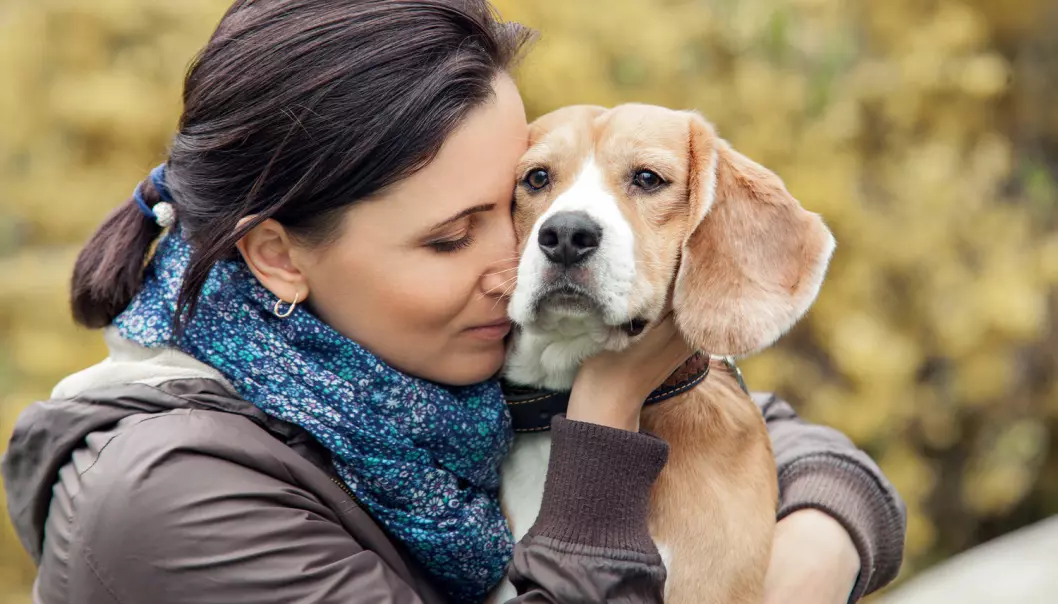 Menneske og hund: Sitter vennskapet i genene?