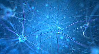 Forskeren forteller: Et skritt på veien mot kunstige hjernenettverk