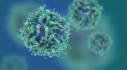 Cellene som er sentrale for cøliaki koblet til andre autoimmune sykdommer