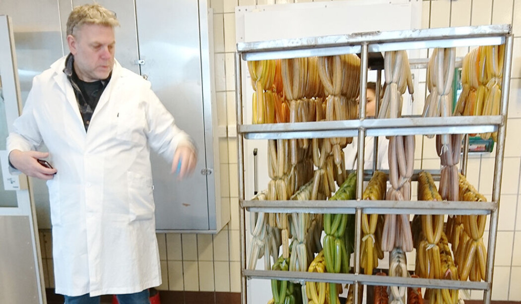 Pølsemakermester Tom Johannessen i Nofima har stått for prøveproduksjonen av produktene. De har produsert pølser med flere forskjellige grønnsaker. (Foto: Nofima) Pølsemakermester Tom Johannessen i Nofima har stått for prøveproduksjonen av produktene. De har produsert pølser med flere forskjellige grønnsaker. (Foto: Nofima)