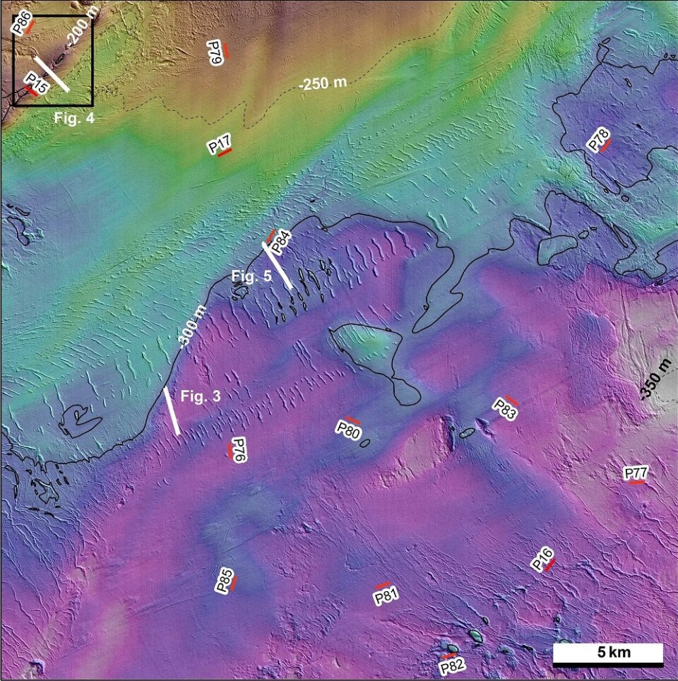 Figur 2: Detaljerte dybdedata i boks 7. TOPAS-linjer er vist med svart strek, mens hvite linjer viser TOPAS-profiler vist i figur 3-4. (Foto: (Kart: Mareano/Havforskningsinstituttet))