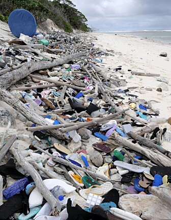 Flere sko og andre plastgjenstander på en annen strand. Denne er på South-øya. (Bilde: Silke Stuckenbrook) Flere sko og andre plastgjenstander på en annen strand. Denne er på South-øya. (Bilde: Silke Stuckenbrook)