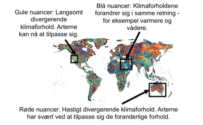 Et nytt kart viser hvor det er mest sannsynlig at de nye klimaregimene og artsblandingene oppstår. Skraveringen indikerer både hvilken type endring som er underveis, og med hvilken fart forskerne forventer at de vil finne sted. (Foto: (Illustrasjon: Alejandro Ordonez)) Et nytt kart viser hvor det er mest sannsynlig at de nye klimaregimene og artsblandingene oppstår. Skraveringen indikerer både hvilken type endring som er underveis, og med hvilken fart forskerne forventer at de vil finne sted. (Foto: (Illustrasjon: Alejandro Ordonez))