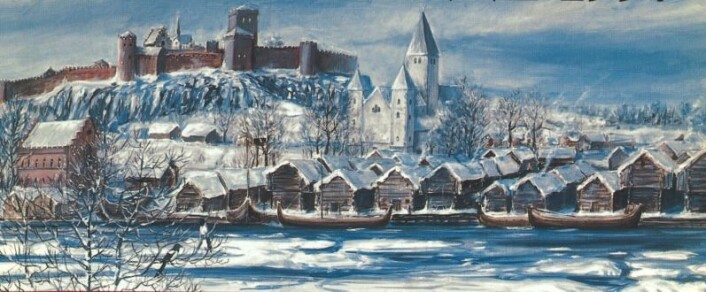 Et rekonstruksjonsforslag av hvordan Tøsnberg kan ha sett ut ca 1300. Fra Vestfoldminne, 1997. Et rekonstruksjonsforslag av hvordan Tøsnberg kan ha sett ut ca 1300. Fra Vestfoldminne, 1997.