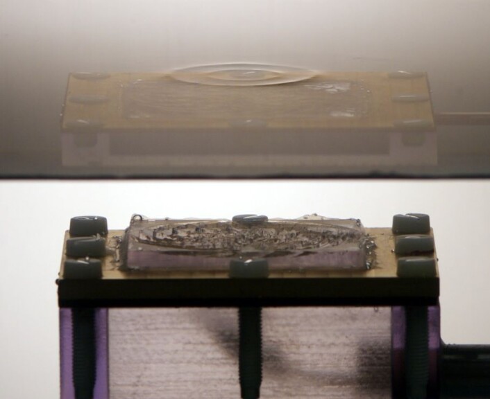 Her ser du tydelig den 3D-printede platen som ligger oppå høyttaleren. Formene på platen styrer lydbølgene til å lage to ringer på vannoverflaten over høyttaleren. (foto: Kai Melde) Her ser du tydelig den 3D-printede platen som ligger oppå høyttaleren. Formene på platen styrer lydbølgene til å lage to ringer på vannoverflaten over høyttaleren. (foto: Kai Melde)