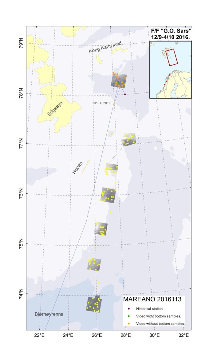 Området vi har undersøkt så langt ligger nord for Hopen-banken, sørøst for Kong Karls Land. (Foto: (Kart: Mareano/Havforskningsinstituttet)) Området vi har undersøkt så langt ligger nord for Hopen-banken, sørøst for Kong Karls Land. (Foto: (Kart: Mareano/Havforskningsinstituttet))