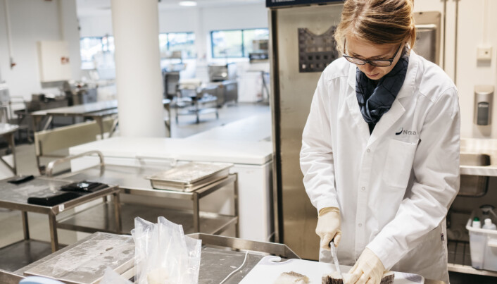 Tone Mari Rode er forsker i Nofima, og jobber med hvordan man med ulike pakkemåter og ulike måter å prosessere fisken på, kan forlenge holdbarheten på utvannet tørr-, salt- og klippfisk. Foto: Tommy Ellingsen © Nofima Tone Mari Rode er forsker i Nofima, og jobber med hvordan man med ulike pakkemåter og ulike måter å prosessere fisken på, kan forlenge holdbarheten på utvannet tørr-, salt- og klippfisk. Foto: Tommy Ellingsen © Nofima
