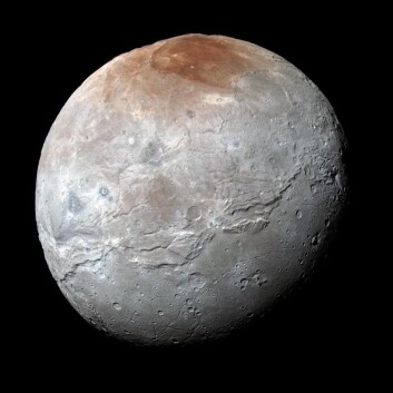 Dette bildet med tydeliggjorte fargeforskjeller viser Plutos måne Charon tatt fra New Horizons like før nærmeste passering den 14. juli 2015. Det røde området ved nordpolen er tydelig. (Foto: NASA/JHUAPL/SwRI) Dette bildet med tydeliggjorte fargeforskjeller viser Plutos måne Charon tatt fra New Horizons like før nærmeste passering den 14. juli 2015. Det røde området ved nordpolen er tydelig. (Foto: NASA/JHUAPL/SwRI)