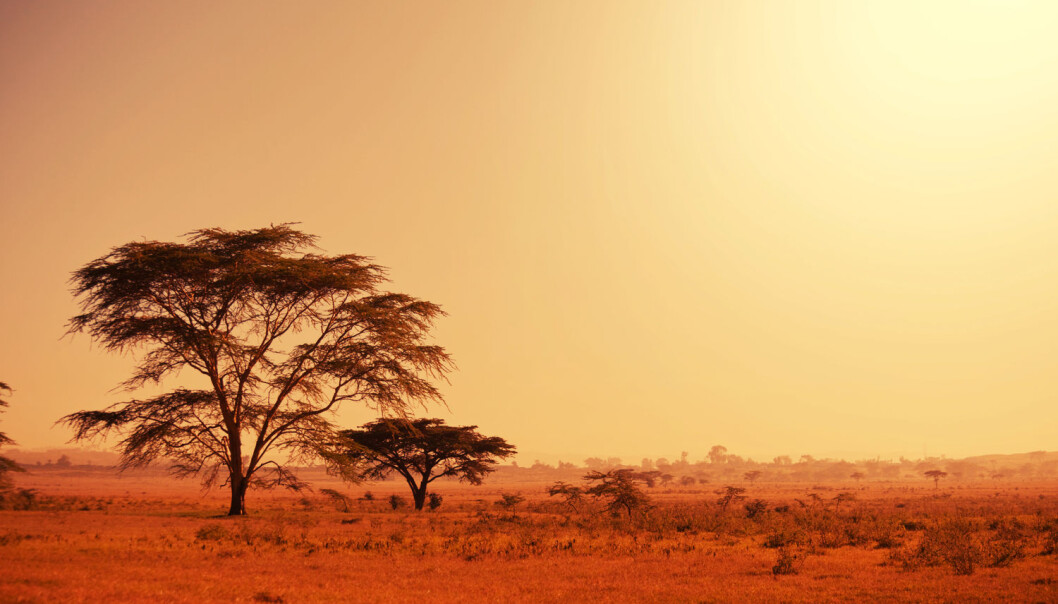 Kan tørke og andre klimaendringer ha drevet folk ut av Afrika? Dette er en tørr slette i Namibia. (Illustrasjonsfoto: Shutterstock/NTB Scanpix) Kan tørke og andre klimaendringer ha drevet folk ut av Afrika? Dette er en tørr slette i Namibia. (Illustrasjonsfoto: Shutterstock/NTB Scanpix)