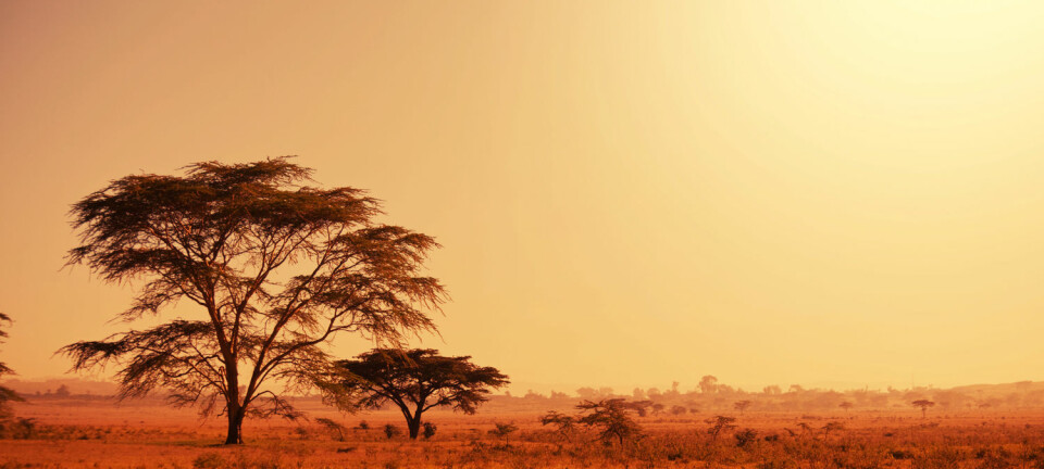 Kan tørke og andre klimaendringer ha drevet folk ut av Afrika? Dette er en tørr slette i Namibia. (Illustrasjonsfoto: Shutterstock/NTB Scanpix)