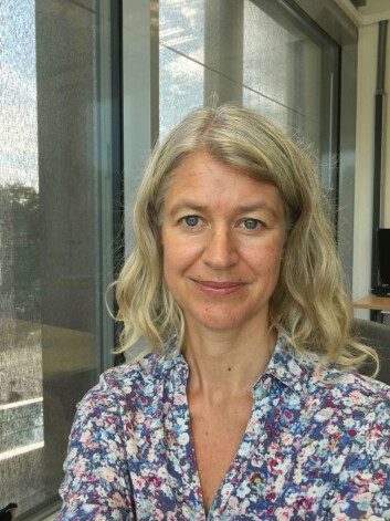 Bente Monica Aakre. (Foto: Høgskolen i Sørøst-Norge) Bente Monica Aakre. (Foto: Høgskolen i Sørøst-Norge)