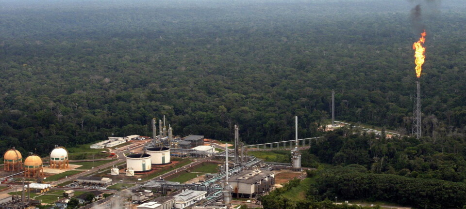 Det bygges stadig fabrikker helt inne i jungelen. Oljeselskapet Petrobras driver dette olje- og gassanlegget i Amazonas. (Foto: Jamil Bittar/Reuters)