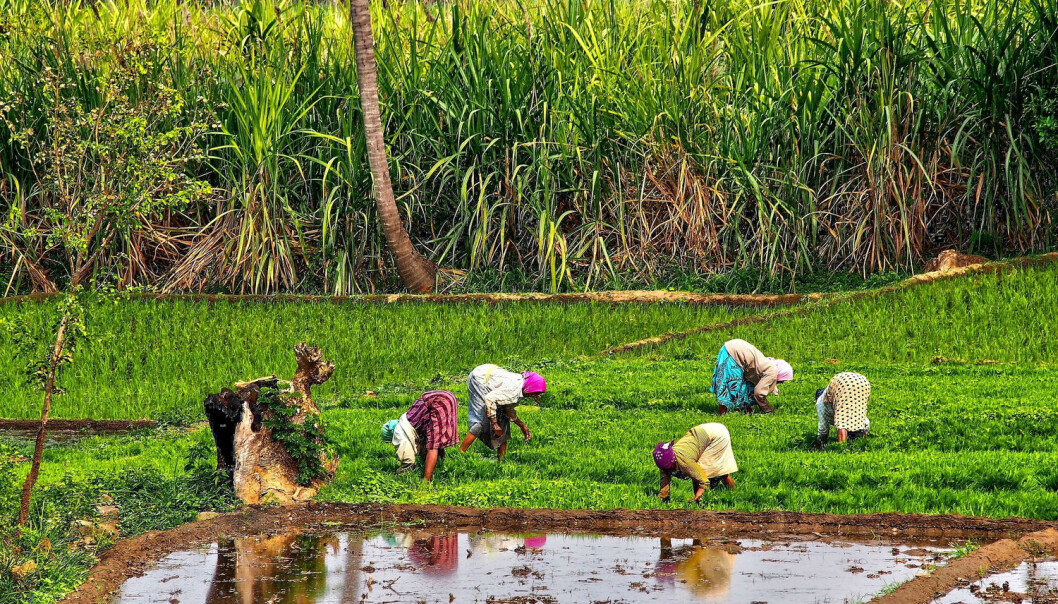 India topper listen over land i verden med høyest andel av ekstremt fattige, på tross av sine mange prestasjoner. (Foto: Shutterstock / NTB scanpix) India topper listen over land i verden med høyest andel av ekstremt fattige, på tross av sine mange prestasjoner. (Foto: Shutterstock / NTB scanpix)