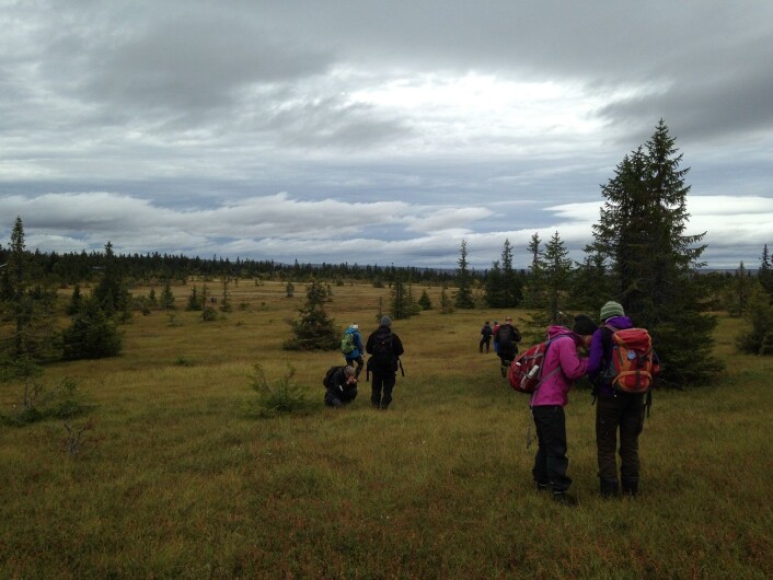 Flere kartleggere som kartlegger det samme området. Forskning viser at kartene blir forskjellige. Foto: HAU Flere kartleggere som kartlegger det samme området. Forskning viser at kartene blir forskjellige. Foto: HAU