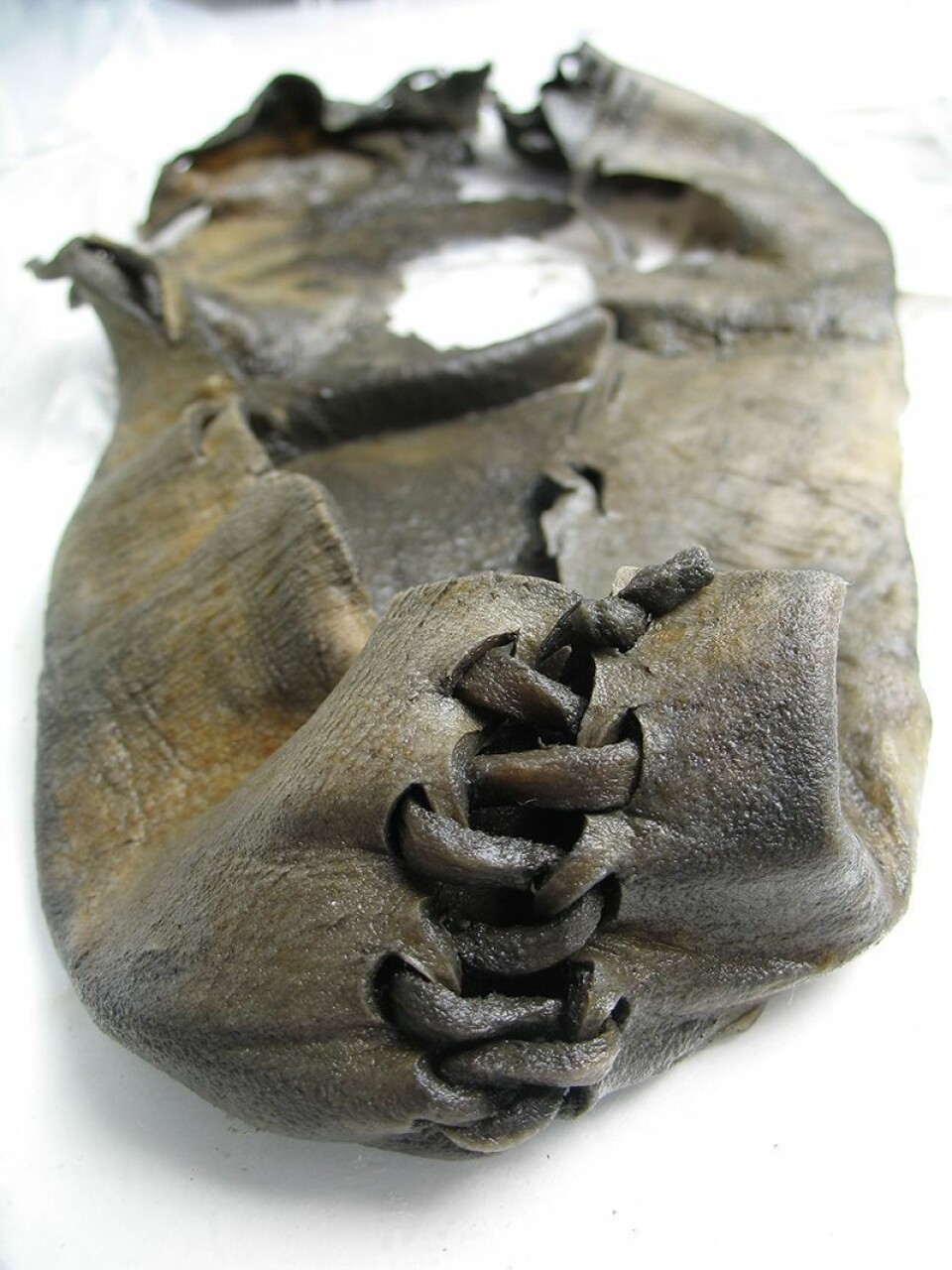 Norges eldste sko ble kanskje mistet av en jeger. (Foto: Vegard Vike/Kulturhistorisk Museum, UiO/CC BY-SA 4.0)