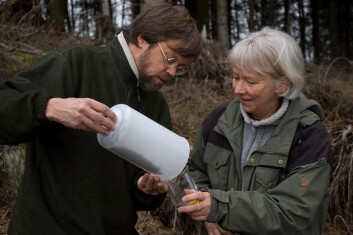 Innsamling av nedbør fra kronedrypp på den intensive overvåkingsflata i Birkenes. (Foto: Volkmar Timmermann, Nibio) Innsamling av nedbør fra kronedrypp på den intensive overvåkingsflata i Birkenes. (Foto: Volkmar Timmermann, Nibio)