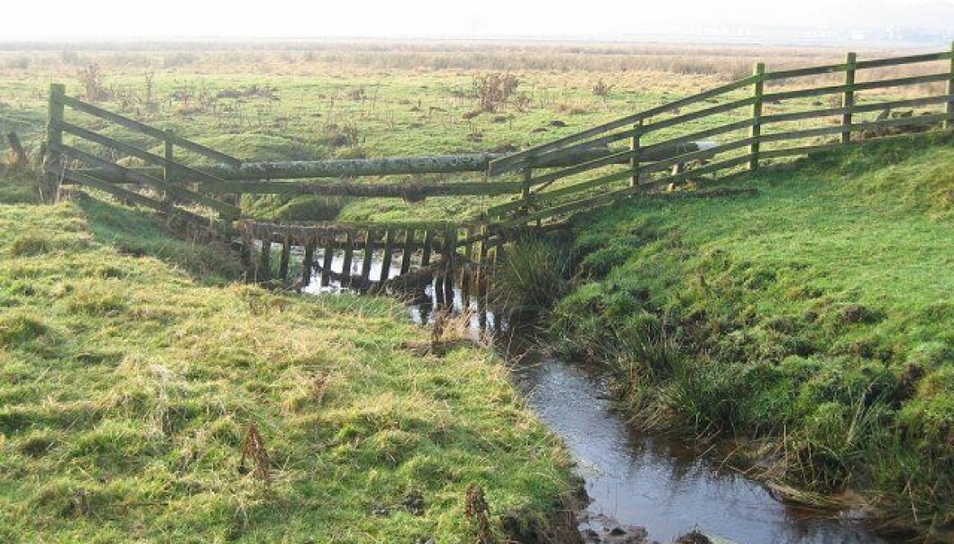 I ett år har forskere målt oksygenkonsentrasjon og karbonholdig materiale i to bekker i Nordøst-Skottland, blant annet her i Cairn Burn. Funnene bekrefter at bekker har en viktig rolle i den globale karbonsyklusen. (Illustrasjonsbilde: Richard Webb / Cairn Burn / CC BY-SA 2.0) I ett år har forskere målt oksygenkonsentrasjon og karbonholdig materiale i to bekker i Nordøst-Skottland, blant annet her i Cairn Burn. Funnene bekrefter at bekker har en viktig rolle i den globale karbonsyklusen. (Illustrasjonsbilde: Richard Webb / Cairn Burn / CC BY-SA 2.0)