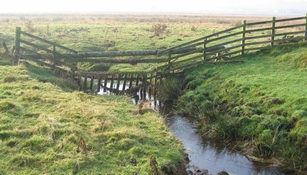 I ett år har forskere målt oksygenkonsentrasjon og karbonholdig materiale i to bekker i Nordøst-Skottland, blant annet her i Cairn Burn. Funnene bekrefter at bekker har en viktig rolle i den globale karbonsyklusen. (Illustrasjonsbilde: Richard Webb / Cairn Burn / CC BY-SA 2.0) I ett år har forskere målt oksygenkonsentrasjon og karbonholdig materiale i to bekker i Nordøst-Skottland, blant annet her i Cairn Burn. Funnene bekrefter at bekker har en viktig rolle i den globale karbonsyklusen. (Illustrasjonsbilde: Richard Webb / Cairn Burn / CC BY-SA 2.0)