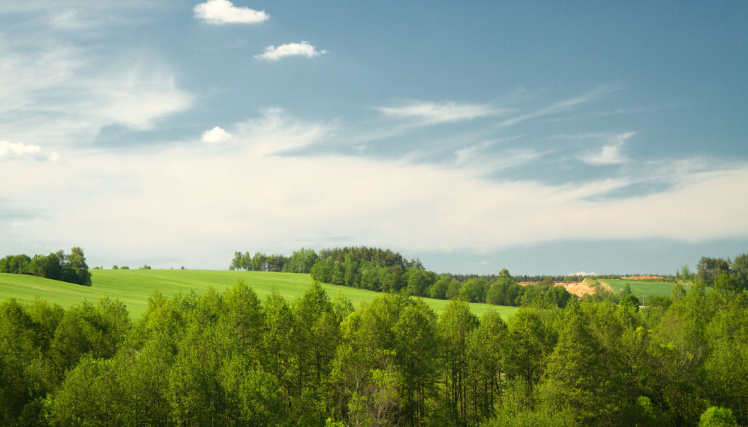 Kan planter tilpasse seg globale klimaendringer? Skreidzeleu / Shutterstock / NTB scanpix Kan planter tilpasse seg globale klimaendringer? Skreidzeleu / Shutterstock / NTB scanpix