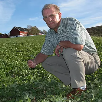 Hans Stabethorp har studert korn i flere tiår.  (Foto: Jon Schärer)