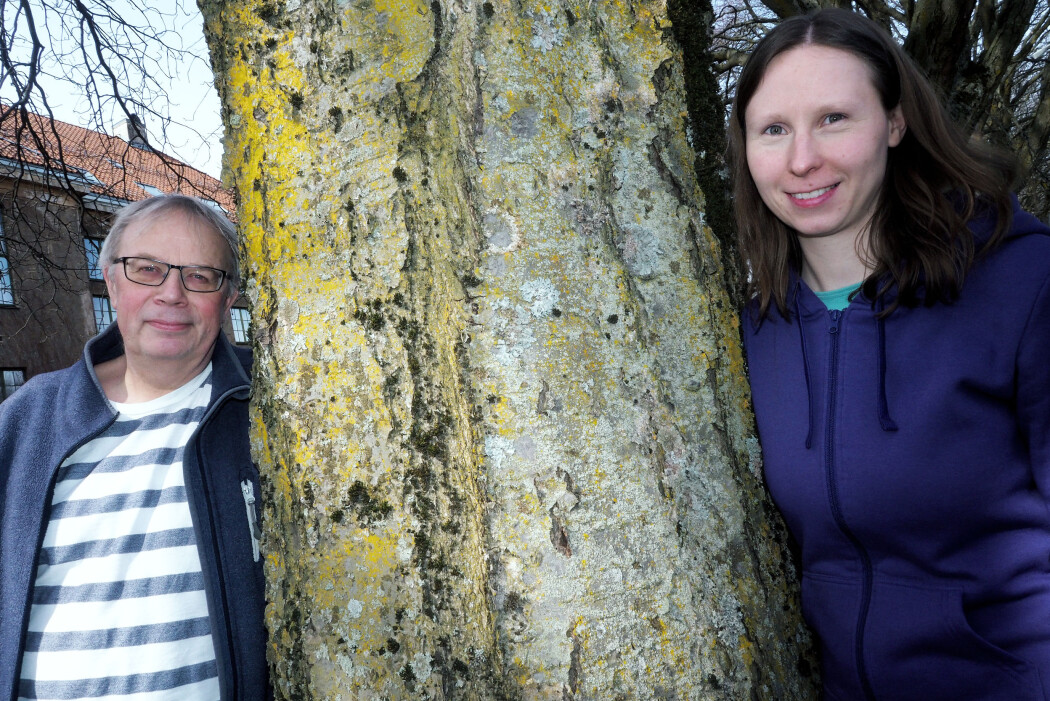 Einar Timdal og Sonja Kistenich på Naturhistorisk museum. (Foto: Ola Sæther) Einar Timdal og Sonja Kistenich på Naturhistorisk museum. (Foto: Ola Sæther)