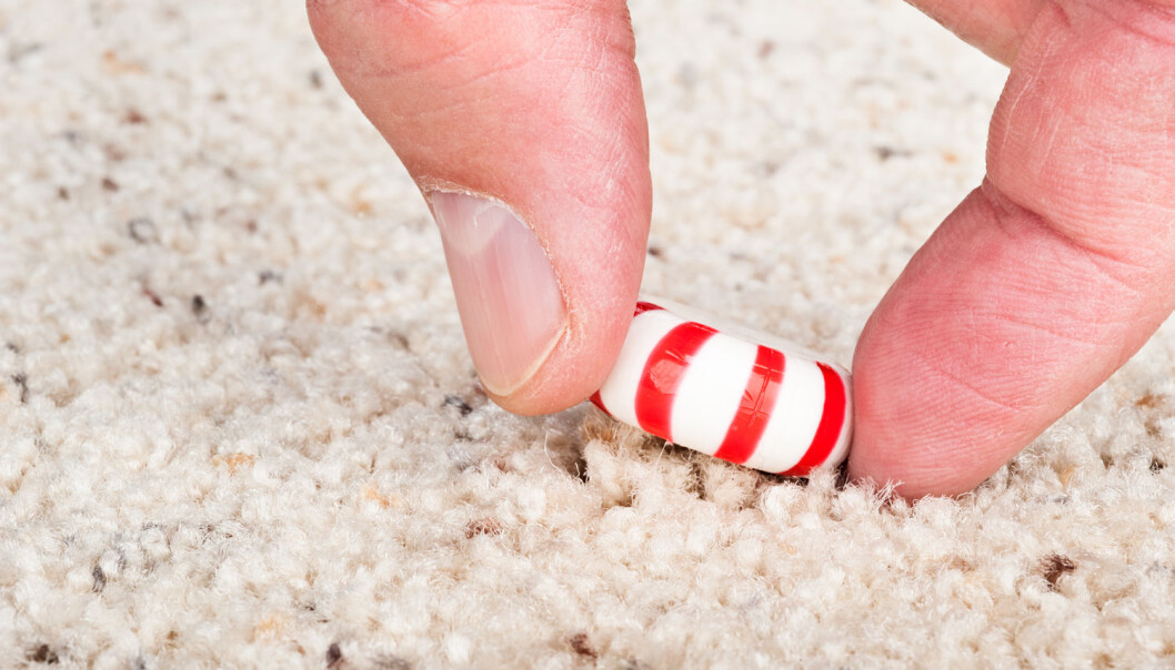 Den nye studien viste at bakteriesmitte er avhengig av overflatetype og matvaretype, og ikke bare hvor lenge matvaren har ligget på bakken. (Foto: Joe Belanger / Shutterstock / NTB scanpix) Den nye studien viste at bakteriesmitte er avhengig av overflatetype og matvaretype, og ikke bare hvor lenge matvaren har ligget på bakken. (Foto: Joe Belanger / Shutterstock / NTB scanpix)