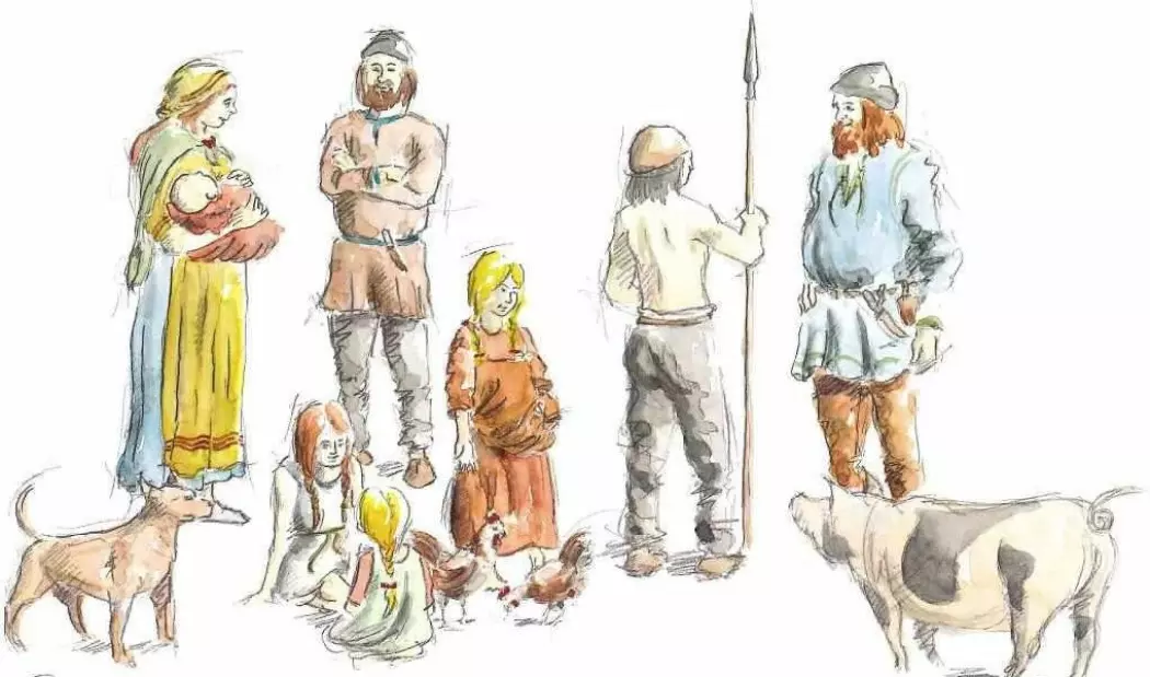 Fagfolk har gjerne forestilt seg en tydelig arbeidsdeling mellom kvinner og menn i vikingtida, hevder arkeolog Marianne Moen. – Tegningene viser kvinner som lager mat og holder barn. Menn er de aktive, de som var i kamp, sier hun. Kanskje var det ikke slik likevel. Her er en tegning fra boka «Vikinger i Vest» fra 2009. (Illustrasjon: Peter Duun)