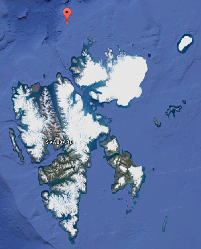 Forskerne om bord på "Helmer Hanssen" fikk ei håkjerring i trålen på 81 grader, 06.86 minutt nord og 17 grader, 51.77 aust. (Foto: (Kart: Googlemaps)) Forskerne om bord på "Helmer Hanssen" fikk ei håkjerring i trålen på 81 grader, 06.86 minutt nord og 17 grader, 51.77 aust. (Foto: (Kart: Googlemaps))